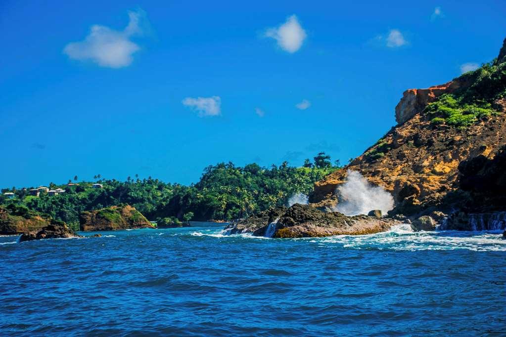 Atlantique View Resort And Spa, Ascend Hotel Collection Saint Andrew وسائل الراحة الصورة